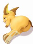  nintendo pokemon raichu tagme 