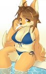  2017 5_fingers ahoge anthro bikini black_nose breasts brown_hair canine cheek_tuft cleavage clothed clothing countershading eyebrows faeki female fox fur hair hi_res looking_at_viewer mammal midriff navel orange_fur partially_submerged sitting slightly_chubby smile solo swimming_pool swimsuit tuft water yellow_eyes 