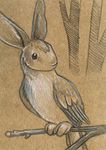  ambiguous_gender avian bird branch feathered_wings feathers feral fur hybrid lagomorph mammal rabbit solo tree ursula_vernon wings wood 