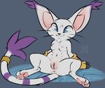  2017 anthro anus black_nose blue_eyes breasts clothing digimon ear_tuft feline female front_view fur gatomon gloves hi_res looking_at_viewer mammal mostly_nude multi_nipple navel nipples pawpads paws pink_pawpads purple_fur pussy reclining reign-2004 ringed_tail simple_background smile solo spread_legs spreading tail_ring tail_tuft tuft whiskers white_fur 
