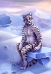  2016 anthro belo4ka brown_eyes detailed_background digital_media_(artwork) feline fur looking_at_viewer male mammal nude pink_nose sitting smile snow solo striped_fur stripes tiger 