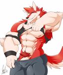  2017 5_fingers abs absurd_res anthro biceps big_biceps big_muscles big_pecs bulge canine clothed clothing clothing_lift daikitei digital_media_(artwork) fur hi_res looking_at_viewer male mammal muscular muscular_male nipples pants pecs pubes red_fur shirt shirt_lift solo tank_top wolf 