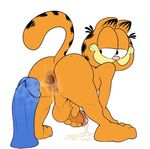  after_masturbation anal anal_masturbation anthro anus balls barefoot bent_over big_butt big_dildo butt cat cum cum_in_ass cum_inside cum_on_anus cum_on_butt cum_on_dildo cum_on_ground cum_on_penis cum_string cumlube dildo erection eroborus feline fur gaping gaping_anus garfield garfield_(series) half-closed_eyes looking_back male mammal masturbation nude orange_fur orgasm penis presenting presenting_anus presenting_hindquarters sex_toy smile solo spread_legs spreading standing striped_fur stripes vein veiny_penis 