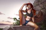  2017 4_toes anthro barefoot blue_eyes breasts brown_fur canine clothed clothing coyote day detailed_background digital_media_(artwork) female fur mammal midriff navel outside sitting skimpy smile solo spefides spread_legs spreading toes under_boob 