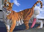  3d_(artwork) animal_genitalia balls big_balls big_penis digital_media_(artwork) erection fangs feline feral fur huge_balls looking_at_viewer male mammal orange_eyes orange_fur penis pool_(disambiguation) pose sabertooth_(feature) solo tapiko tiger water white_fur 