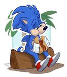  2017 anthro clothing fur gloves hedgehog hi_res male mammal orlandofox simple_background solo sonic_(series) sonic_the_hedgehog toony video_games 