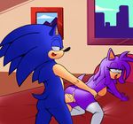  anthro big_penis breasts butt dreamcastzx1 female hedgehog male mammal penis sonic_(series) sonic_the_hedgehog 