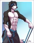  2017 5_fingers abs anthro biceps black_fur black_hair black_nose blue_background body_hair border_collie canine chest_hair clothed clothing collie dog exercise eyebrows feralise flopped_ears fur gloves_(marking) hair looking_aside male mammal markings multicolored_hair muscular muscular_male obliques pants pecs simple_background smile standing topless triceps two_tone_hair white_fur yellow_eyes 