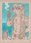  2017 anthro blue_background chest_tuft chewycuticle cigarette clothed clothing delari eyebrows ferret gloves_(marking) half-closed_eyes hawaiian_shirt looking_at_viewer male mammal markings mustelid navel open_shirt restricted_palette sea shirt simple_background smoking swimming_trunks swimsuit traditional_media_(artwork) tuft water 