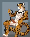  anthro balls bulldog_harness casparr collar erection feline karnal leash leather male mammal muscular nude penis pinup pose smile smirk solo tiger 