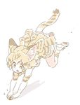 :o animal_ears bow bowtie brown_eyes cat_ears cat_tail commentary_request elbow_gloves full_body gloves high-waist_skirt kemono_friends mitsumoto_jouji open_mouth orange_hair running sand_cat_(kemono_friends) sand_cat_print shoes simple_background skirt socks solo tail white_background 