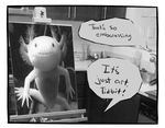  2016 4_fingers amphibian axolotl dialogue english_text missbutler real_picture salamander smile text 
