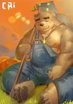  2017 anthro bear cai1448331577_(artist) male mammal sitting sleeping solo tokyo_afterschool_summoners volos 醤油菜 