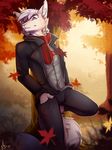  2017 anthro canine clothed clothing day detailed_background digital_media_(artwork) dog fur hair male mammal outside pink_eyes shariea solo standing white_fur white_hair 