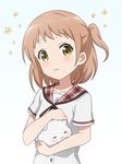  :3 =_= angora_rabbit animal bangs blouse blush breasts bunny closed_eyes closed_mouth collarbone commentary extra eyebrows_visible_through_hair flower gochuumon_wa_usagi_desu_ka? holding holding_animal hoto_cocoa's_school_uniform light_brown_hair looking_at_viewer one_side_up petting plaid_sailor_collar red_sailor_collar red_star_(toranecomet) sailor_collar school_uniform serafuku short_hair short_sleeves small_breasts tippy_(gochiusa) upper_body white_background white_blouse yellow_eyes 