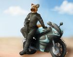  african_wild_dog canine male mammal motorcycle pickles-hyena solo vehicle 