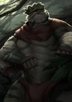  2017 abs anthro biceps clothed clothing feline fur hi_res loincloth male mammal muscular pecs taki_kaze tiger 