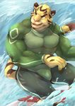  2016 anthro biceps bulge clothed clothing feline fully_clothed fur hi_res kemono male mammal muscular muscular_male pecs seaside surf surfboard swimsuit taki_kaze tiger tight_clothing water 