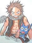  fairy_tail happy natsu_dragneel tagme 