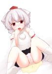  momiji_inubashiri tagme touhou 