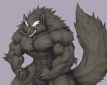  2017 abs anthro biceps big_muscles black_fur black_nose canine captainjohkid claws digital_media_(artwork) fangs flakjacket0204 fur grey_background grey_fur hi_res male mammal muscular muscular_male nude obliques pecs scar simple_background solo standing teeth triceps were werewolf white_fur wolf yellow_eyes 