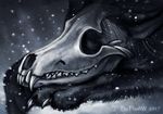 2017 black_fur canine digital_media_(artwork) eyeless feral flashw fur long_mouth lying mammal paws skull snow solo teeth 