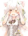  animal_ears bangs blunt_bangs blush bow bowtie commentary_request crying d: daisy dress eyebrows_visible_through_hair flower green_ribbon grey_dress grey_eyes hair_ribbon hands_on_own_face kuga_tsukasa long_hair looking_at_viewer one_eye_closed open_mouth original polka_dot_neckwear puffy_short_sleeves puffy_sleeves ribbon short_sleeves solo tears unmoving_pattern white_hair 