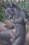  abs anthro balls canine erection forest humanoid_penis invalid_background jewelry log looking_at_viewer male mammal penis sitting sivyren_(artist) tree tribal wolf wood 