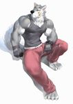  2017 anthro biceps canine clothing hi_res male mammal muscular muscular_male rollingstoneeeeee simple_background solo wolf 
