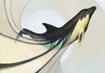  ambiguous_gender cetacean digital_media_(artwork) dolphin feral fin jademere mammal marine simple_background solo white_background 