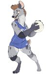  anthro ball claws clothed clothing digitigrade elbow_pads eye_scar female hyena jersey knee_pads looking_at_viewer mammal mane nobby_(artist) scar simple_background solo spotted_hyena standing teeth tongue tongue_out volleyball_(ball) white_background 