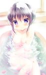  amedamacon areolae bangs bath bathing bathtub between_legs blush breasts closed_mouth collarbone commentary_request eyebrows_visible_through_hair gochuumon_wa_usagi_desu_ka? hair_between_eyes hair_bun hand_between_legs indoors large_breasts long_hair looking_at_viewer navel nude partially_submerged petals petals_on_liquid purple_eyes purple_hair sidelocks sitting smile solo tedeza_rize water wet wet_hair window 