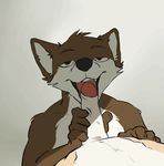  2017 animated anthro brown_fur bryce_(lonewolfhowling) canine captainskee digital_media_(artwork) dingo dog erection fellatio foreskin fur humanoid_penis male male/male mammal muscular nude open_mouth oral partially_retracted_foreskin penis sex spencer_(lonewolfhowling) uncut 