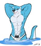  -mike- barazoku clothing male male_focus mammal muscular mustelid otter otter-casey penis solo speedo swimsuit water 