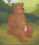  4_toes balls bear black_nose brown_eyes brown_fur cartoon_network cum cum_on_chest cum_on_hand cum_on_self erection fur grizzly_(wbb) grizzly_bear hi_res male mammal open_mouth outside penis shadowpelt sitting slightly_chubby solo toes we_bare_bears 