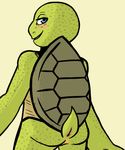  2017 anthro anus blue_eyes blush butt freckles green_background inkyfrog looking_at_viewer looking_back male michelangelo_(tmnt) nude rear_view reptile scalie shell simple_background smile solo standing teenage_mutant_ninja_turtles turtle 