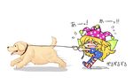  &gt;_&lt; 216 american_flag_legwear american_flag_shirt clownpiece dog dog_walking dragging fairy_wings flying_sweatdrops hair_between_eyes hat jester_cap leash long_hair motion_lines open_mouth pantyhose polka_dot_hat running simple_background solo striped striped_legwear tearing_up touhou very_long_hair white_background wings 