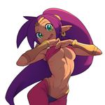  :d armpits bare_shoulders bra bra_pull breasts colorized cowboy_shot dark_skin forehead_jewel green_eyes harem_pants hips long_hair looking_at_viewer lossy-lossless medium_breasts metata navel o-ring o-ring_top open_mouth pants pointy_ears purple_hair shantae_(character) shantae_(series) smile solo stomach transparent_background underboob underwear vambraces very_long_hair 