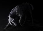  2015 alaiaorax ambiguous_gender digital_media_(artwork) equine feral glowing glowing_eyes greyscale hair hooves horse mammal monochrome solo white_hair 