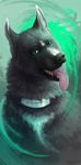  2015 alaiaorax ambiguous_gender black_lips black_nose canine digital_media_(artwork) dog fur green_eyes grey_fur mammal open_mouth smile teeth tongue 