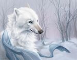  2014 alaiaorax blue_eyes canine day detailed_background digital_media_(artwork) fur grey_nose mammal no_sclera outside scarf white_fur wolf 