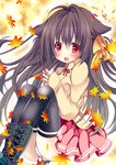  :d ahoge animal_ears ass autumn_leaves black_hair black_legwear commentary_request hikanyan long_hair looking_at_viewer open_mouth original panties pantyshot pleated_skirt red_eyes skirt smile solo tail thighhighs underwear white_panties wolf_ears wolf_tail 