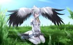  belt bird bird_tail bird_wings black_gloves black_hair bodystocking collared_shirt commentary_request day feathered_wings field fingerless_gloves g_(desukingu) gloves grass grey_hair grey_neckwear grey_shirt grey_shorts head_wings kemono_friends long_hair low_ponytail multicolored_hair necktie orange_hair pantyhose pocket seiza shirt shoebill shoebill_(kemono_friends) shorts side_ponytail silver_hair sitting sky solo sunlight tsurime white_neckwear wings 