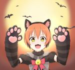  animal_suit bats blush green_eyes happy hoshizora_rin jacket love_live!_school_idol_project moon neko_mimi night orange_hair short_hair 