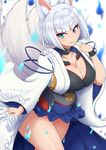  animal_ears azur_lane blue_eyes blue_skirt blush breasts cleavage closed_mouth collarbone eyebrows_visible_through_hair fox_ears fox_tail highres kaga_(azur_lane) large_breasts ponpo short_hair silver_hair skirt smile solo tail 