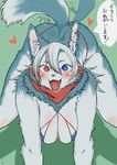  &lt;3 2017 all_fours anthro big_breasts bikini blue_eyes blush breasts canine cleavage clothed clothing dog ear_piercing eyebrows female hair_between_eyes happy heterochromia hi_res husky inner_ear_fluff japanese_text kemono looking_at_viewer mammal neck_tuft open_mouth piercing red_eyes scarf solo speech_bubble swimsuit tailwag teeth text toco_(artist) tuft 