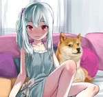  animal aqua_dress aqua_hair artist_request blush character_request copyright_request couch cushion dog doge dress looking_at_viewer open_mouth red_eyes shiba_inu 