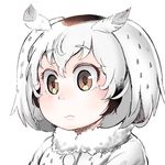  black_hair brown_eyes eyebrows_visible_through_hair fur_collar hare_(tetterutei) head_wings kemono_friends multicolored_hair northern_white-faced_owl_(kemono_friends) short_hair simple_background solo white_background 