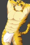  2016 abs anthro black_eyes blush brown_fur clothed clothing feline fur grey_background loincloth looking_at_viewer male mammal morenatsu nipples orange_fur pang4746 pink_nose simple_background smile solo standing tiger topless torahiko_(morenatsu) 