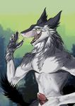 anthro claws cum erection fur hair handjob hi_res male mammal nude open_maw open_mouth penis saliva sergal sex solo source_request tongue unknown_artist 